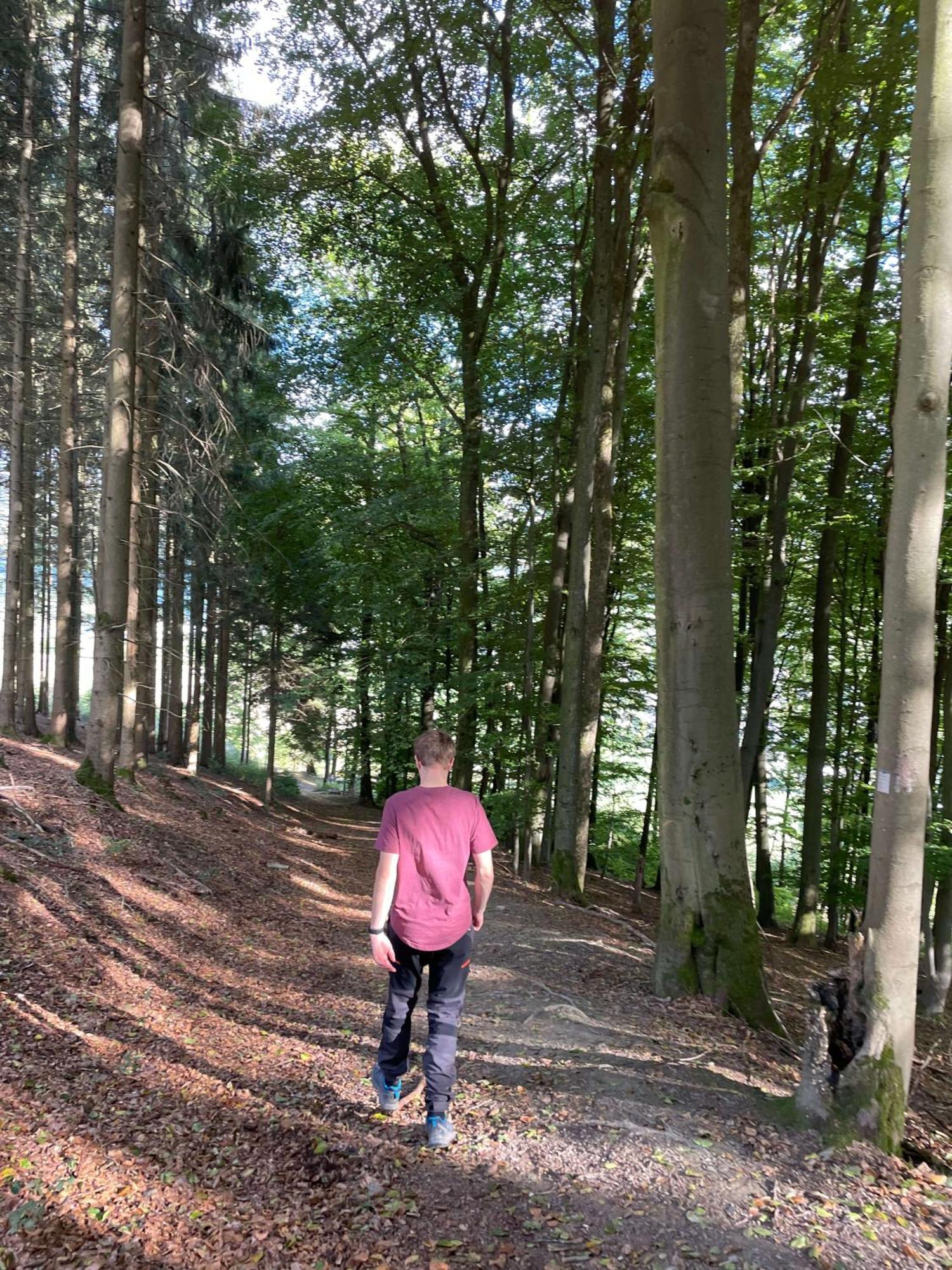 Landgasthof Reinert Reiste Dış mekan fotoğraf